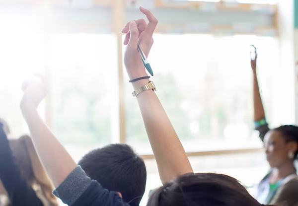 Education feedback and survey platform